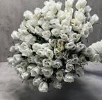Kunst rozen wit - 80 stuks, Ophalen of Verzenden, Nieuw