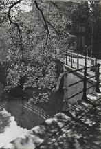 Amsterdam voorjaar oude Gelopen ansichtkaart ( 4274 ), Verzamelen, Ophalen of Verzenden, 1980 tot heden, Gelopen, Noord-Holland