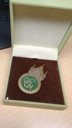 Efteling PIN speciaal, Grandhotel, in lux doosje, Ophalen of Verzenden, Nieuw, Button of Speldje