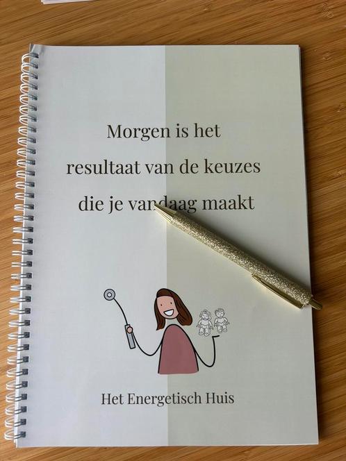 NEI cursus  ‘jouw energetisch fundament’, Hobby en Vrije tijd, Cursusmateriaal, Zo goed als nieuw, Welzijn en Spiritualiteit, Meerdere media