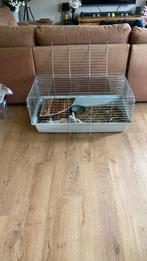 Gratis af te halen konijn met kooi, Dieren en Toebehoren, Kooi, Zo goed als nieuw, Konijn, Ophalen