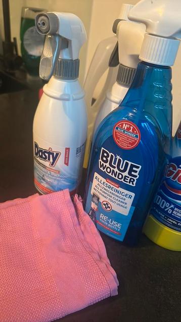 Schoonmaakster beschikbaar voor biedingen