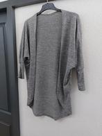 Grijze vest maat L - comfortabel en stijlvol, Ophalen of Verzenden, Maat 42/44 (L), Grijs