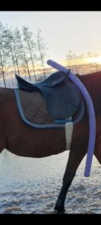 Kieffer veelzijdigheid zadel- 17 inch, Ophalen, Gebruikt, Recreatie