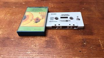 PRACHTIGE MUZIEKCASSETTE VAN KATE BUSH: THE KICK INSIDE beschikbaar voor biedingen
