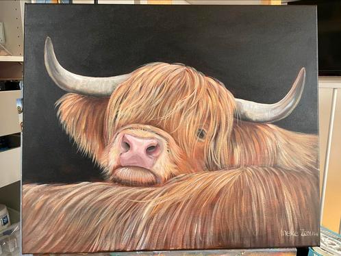 Schilderij schotse hooglander, Huis en Inrichting, Woonaccessoires | Schilderijen, Tekeningen en Foto's, Nieuw, Schilderij, 50 tot 75 cm