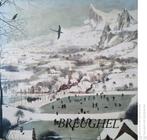 Breughel, Boeken, Ophalen of Verzenden, Gelezen