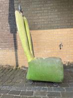Groene design stoel op veren, Ophalen