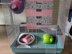 Knaagdier kooi van Ferplast, Dieren en Toebehoren, Knaagdieren en Konijnen | Hokken en Kooien, Ophalen, Kooi, Gebruikt, Hamster