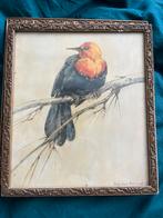 2 Aquarel van Vogel in lijst van - Tini van Doornik, Ophalen of Verzenden