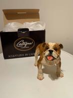 Beeldje Castagna 0173 “Bull Dog” met originele doos, Verzenden, Nieuw