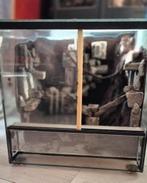 Terrarium met 3d achterwand, Dieren en Toebehoren, Ophalen, Nieuw, Terrarium of Paludarium