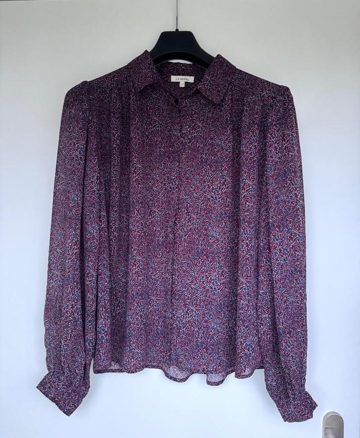 Stijlvolle damesblouse Expresso, Kleding | Dames, Blouses en Tunieken, Nieuw, Maat 38/40 (M), Paars, Ophalen of Verzenden