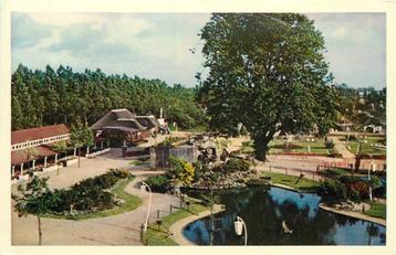 (388-031-031) Alphen aan den Rijn Avifauna beschikbaar voor biedingen