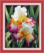 # Nieuw compleet borduurpakket; Iris #, Ophalen of Verzenden, Nieuw, Handborduren, Borduurpakket