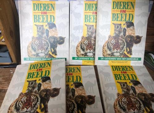 Dieren in Beeld - De geheimen van het dierenrijk - 6 delen, Boeken, Dieren en Huisdieren, Zo goed als nieuw, Overige diersoorten