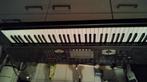 Keyboard Casio, Ophalen, Gebruikt, 76 toetsen, Casio