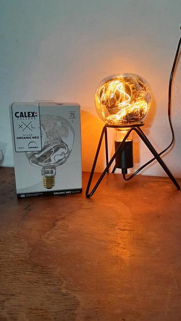 Calex lampen, met houder beschikbaar voor biedingen