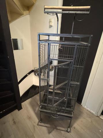 Papegaai kooi beschikbaar voor biedingen