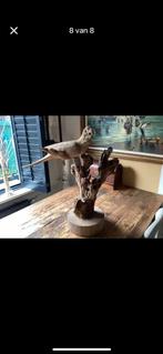 Handgesneden houten papegaai op boomstam - Java, Ophalen of Verzenden