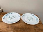 2 Arcopal ontbintborden, Huis en Inrichting, Keuken | Servies, Gebruikt, Ophalen of Verzenden, Glas, Bord(en)
