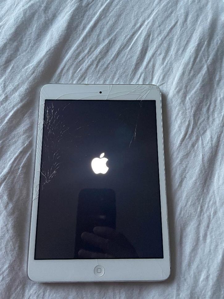 Apple iPad Mini 1 (A1432) 16GB WiFi, Computers en Software, Apple iPads, Gebruikt, Apple iPad Mini, Wi-Fi, 8 inch, 16 GB, Grijs