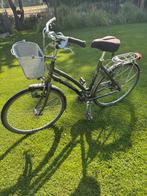 Gazelle damesfiets Medeo, Fietsen en Brommers, Fietsen | Dames | Damesfietsen, Ophalen, Versnellingen, Gazelle, 53 tot 56 cm