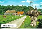 Overijssel- -Mooi Twente., Verzenden, 1960 tot 1980, Gelopen, Overijssel