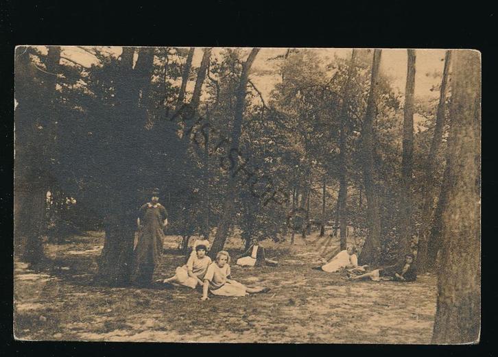 Hattem - In de bosschen [KRST009-2516, Verzamelen, Ansichtkaarten | Nederland, Ongelopen, Gelderland, 1920 tot 1940, Verzenden