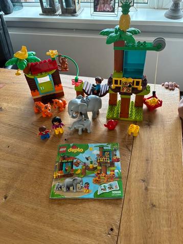 Duplo wilde dieren beschikbaar voor biedingen