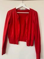 Rood setje vest en hemdje van Steps maat M, Maat 38/40 (M), Ophalen of Verzenden, Zo goed als nieuw, Steps