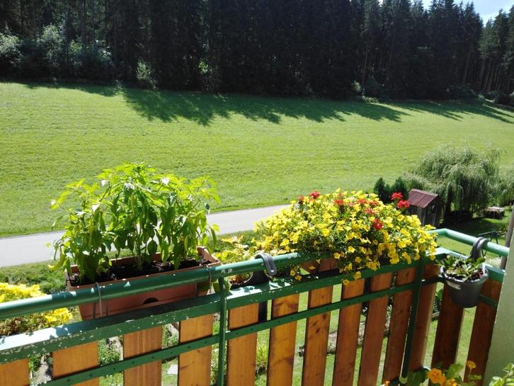 Appartement 15 min. van Red Bull Ring Spielberg, Oostenrijk, Huizen en Kamers, Buitenland, Overig Europa, Appartement, Landelijk