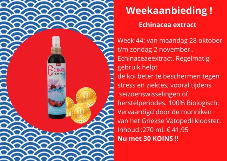 echinacea koi, Dieren en Toebehoren, Vissen | Vijvervissen, Karper of Koi
