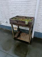 Kweekbak, Tuin en Terras, Kweekspullen, Ophalen of Verzenden, Zo goed als nieuw, Overige typen