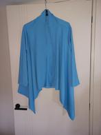 vestjes diverse kleuren 46 48 50 52 54 56 58 60-64, Ophalen of Verzenden, Nieuw, Blauw, Trui of Vest