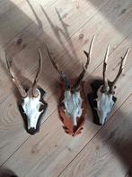 Herten geweien op schild, Ophalen of Verzenden, Gebruikt