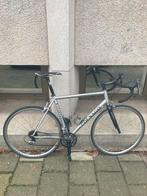 colnago elite, Fietsen en Brommers, Overige merken, 10 tot 15 versnellingen, Heren, Aluminium