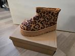 Nieuw korte laarsjes panter bont 38, Ophalen of Verzenden, Nieuw, Bruin