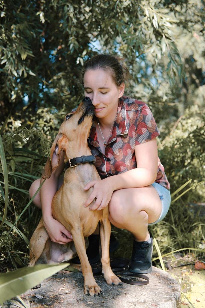 Bruno op zoek naar zijn forever home, Dieren en Toebehoren, Honden | Niet-rashonden, Middel, Reu, Particulier, Eén hond, Buitenland