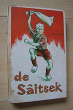 DE SALTSEK door SM van der Galien, Boeken, Romans, Ophalen of Verzenden, Gelezen, Nederland