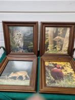 Fotolijsten met foto van egel en vos bosuil boommater, Ophalen of Verzenden