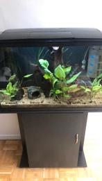 aqarium met kast, Dieren en Toebehoren, Vissen | Aquaria en Toebehoren, Ophalen, Zo goed als nieuw, Leeg aquarium