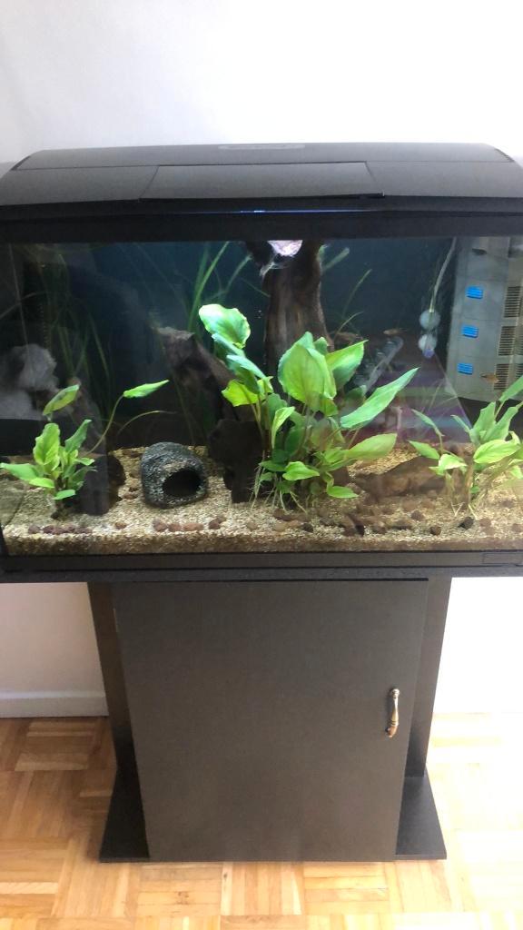 aqarium met kast, Dieren en Toebehoren, Vissen | Aquaria en Toebehoren, Zo goed als nieuw, Leeg aquarium, Ophalen