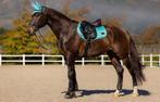 LeMieux Loire Azure Spring CC dekje Full GRATIS VERZENDING, Ophalen of Verzenden, Nieuw, Dekje