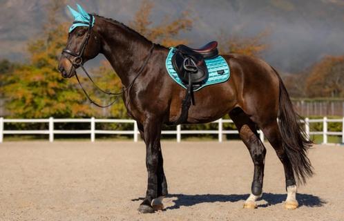 LeMieux Loire Azure Spring CC dekje Full GRATIS VERZENDING, Dieren en Toebehoren, Paarden en Pony's | Dekens en Dekjes, Nieuw