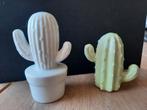 Cactussen, Ophalen