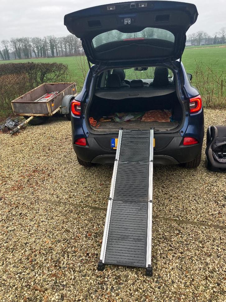 Loopplank voor de hond, Dieren en Toebehoren, Honden-accessoires, Gebruikt, Ophalen