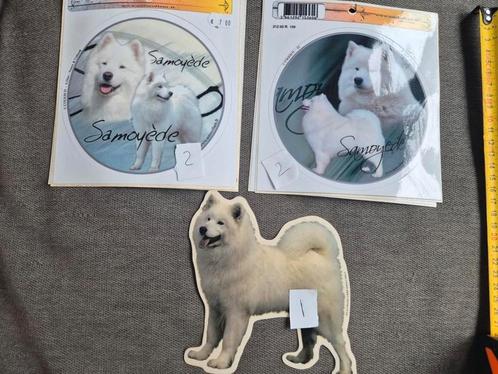 Stickers Samoyeed Samoyède, Hobby en Vrije tijd, Stickers en Plaatjes, Zo goed als nieuw, Sticker, Ophalen of Verzenden