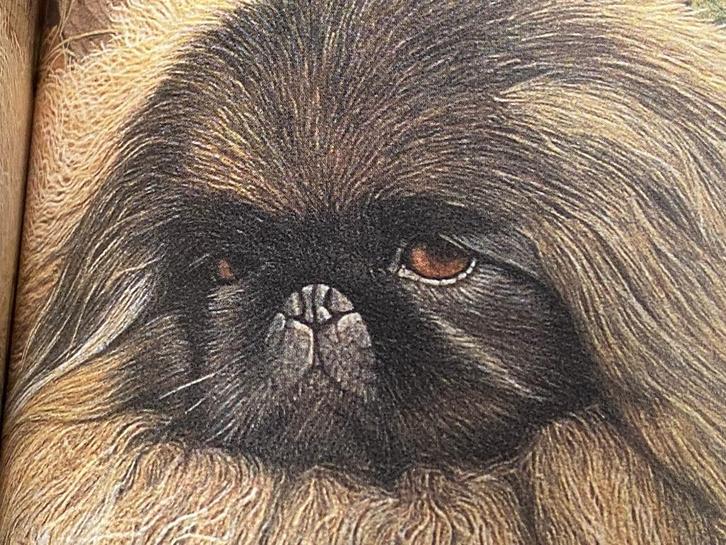 Dog: Dog's Life in Art & Literature - honden, Boeken, Dieren en Huisdieren, Zo goed als nieuw, Honden, Ophalen of Verzenden