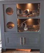 Caviaflat/ kooi/ kast, Ophalen, 90 cm of meer, Hok, 110 cm of meer